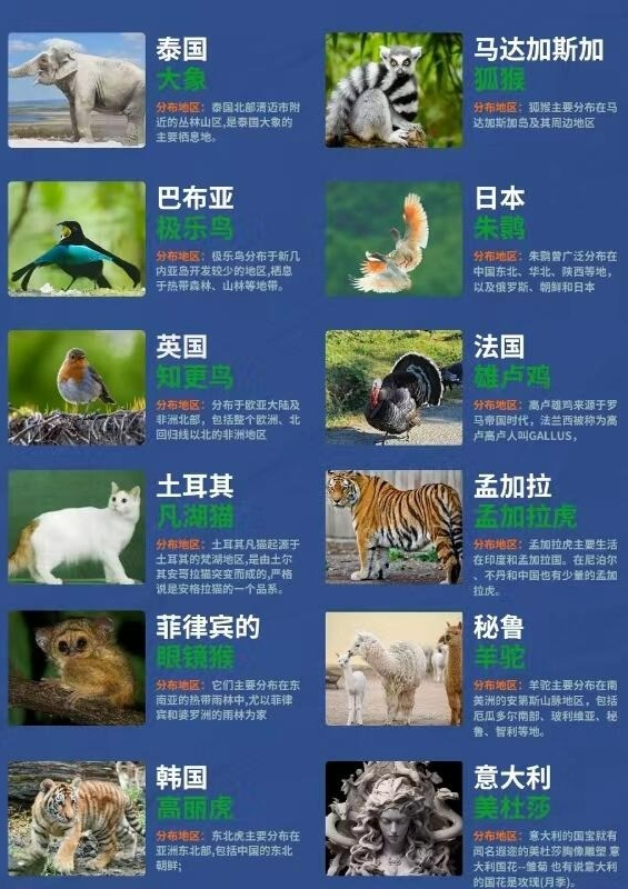 技术阐释（九尾之数开两边，千金一撒二值钱。代表什么动物