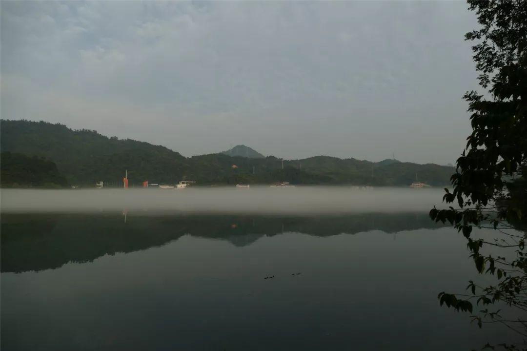 深度报道（梨花落后二清明，三五少年容易老）猜一数字