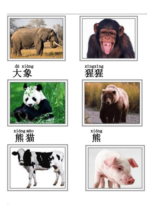 业内点评（君不用问知基数，只观浮云风雨目）指什么动物