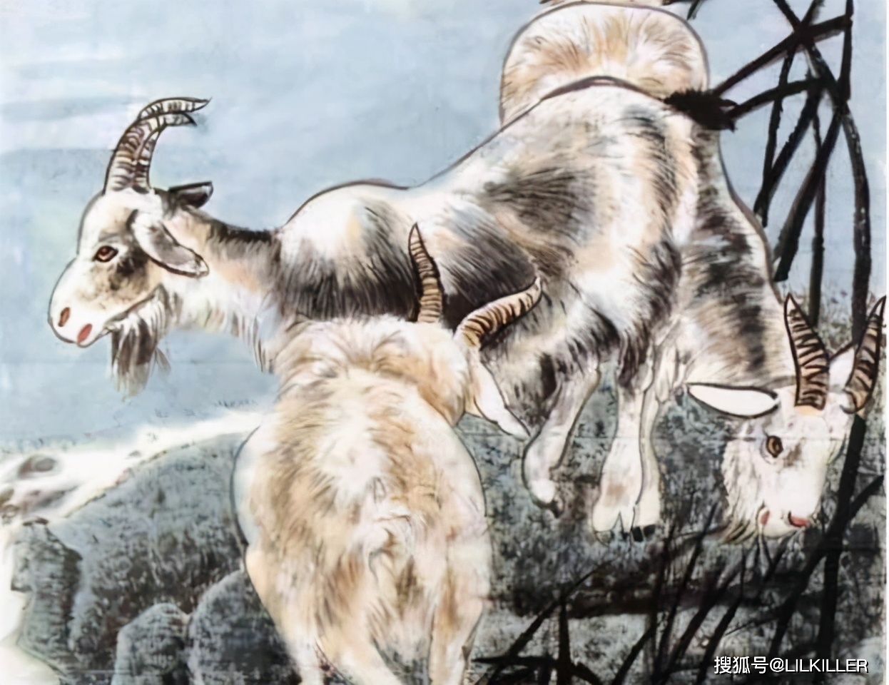 独家稿件（仙羊下界遍地春）是什么生肖