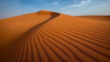 技术阐释（寸草不生）开过什么生肖