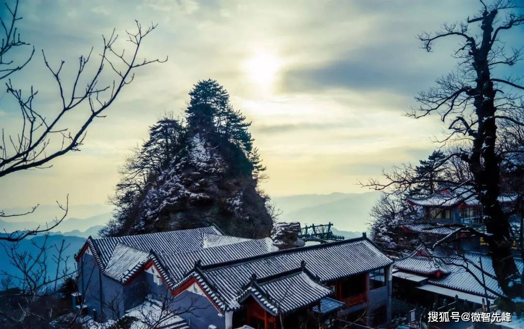 条理讲解（今期生肖开金花，道人玄机送大家）比喻什么动物