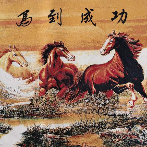 专家解析（马到成功）打一准确动物