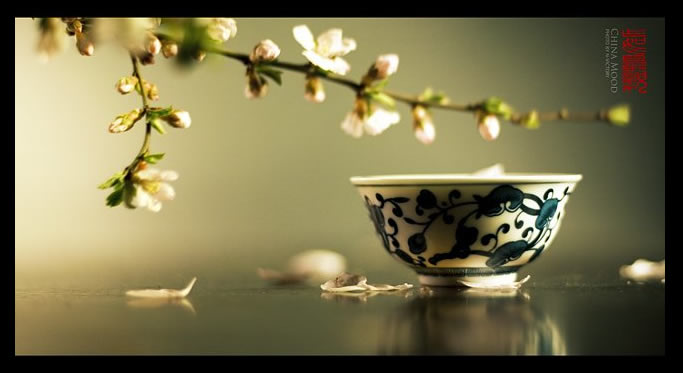 逐项解读（今期蛇牛猪出特，头上花枝照酒卮）打一生肖