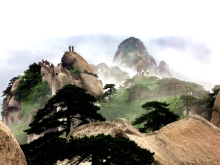 全面阐释（仙羊下界遍地春）代表什么生肖,打一准确最佳谜底