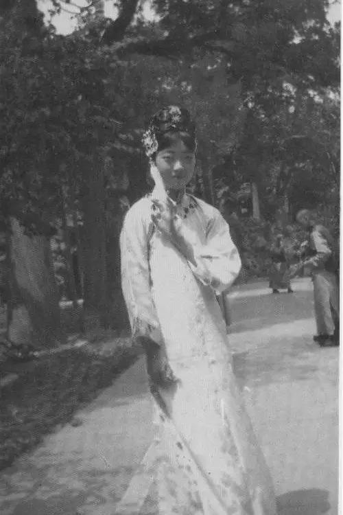 实战解析（三千佳丽）比喻什么动物