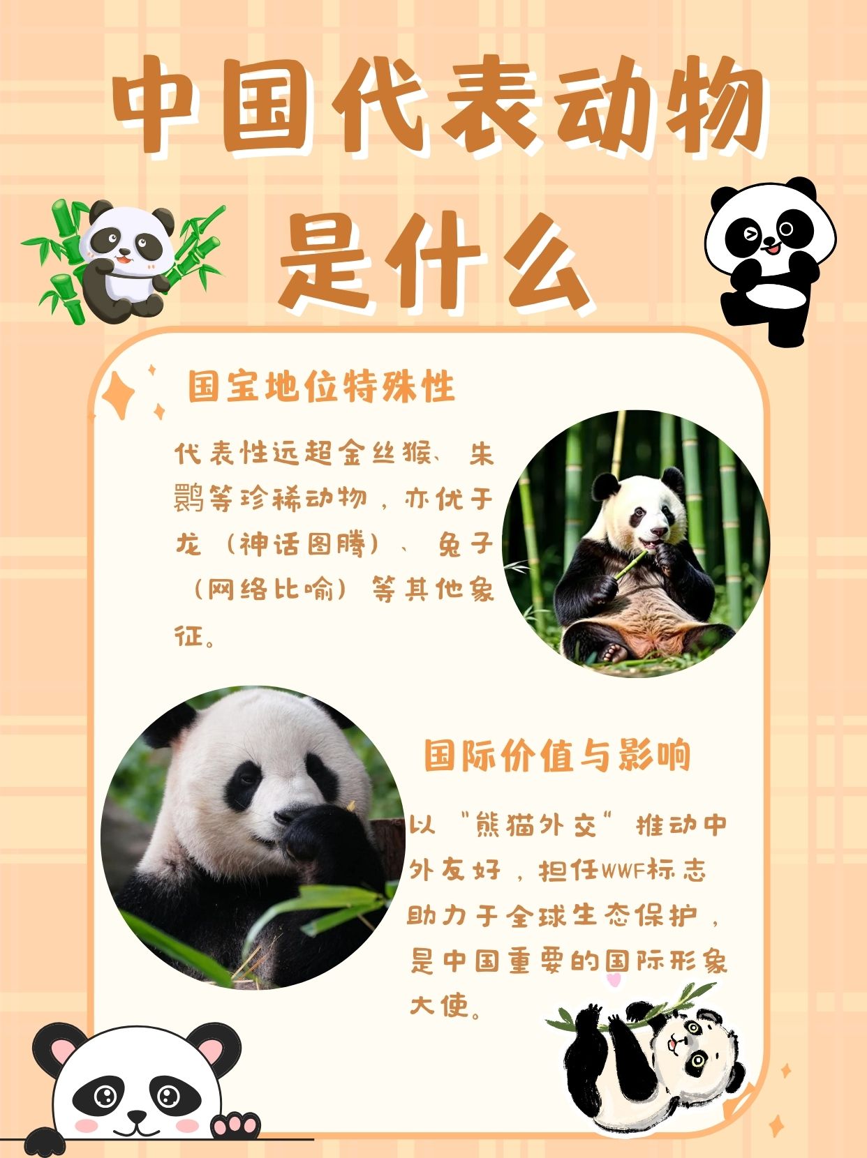 技术阐释（九尾之数开两边，千金一撒二值钱。代表什么动物