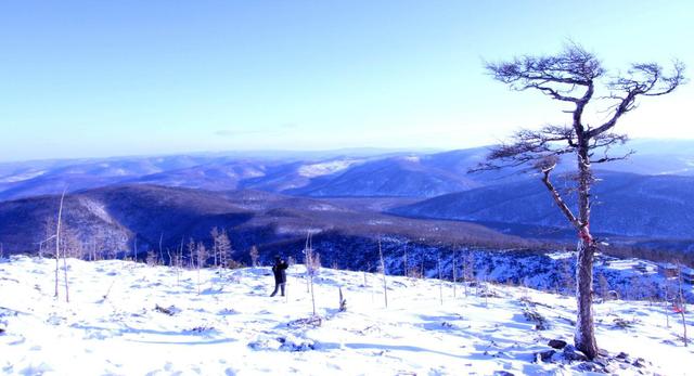 视角拆解（寒风凛凛）本期动物