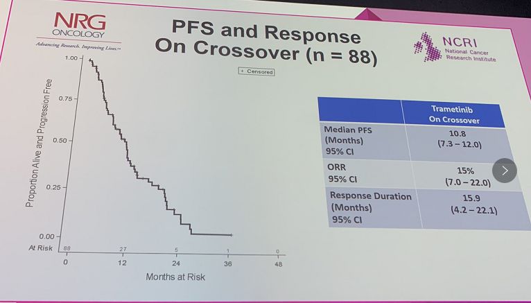 内幕披露（八仙过海-各显种通）打一动物谜底