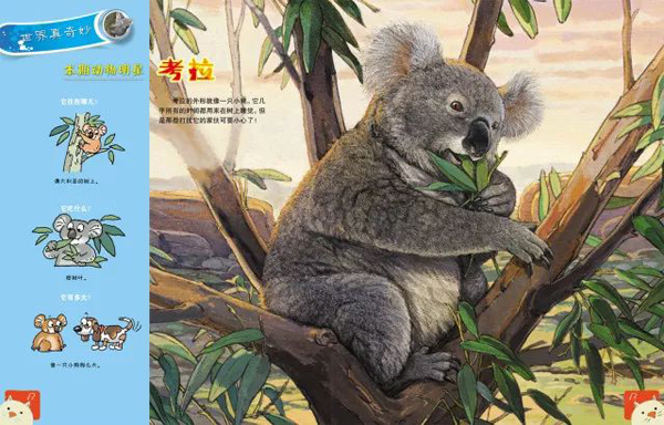 深度剖析（飞沙拶人风堕帻）本期动物