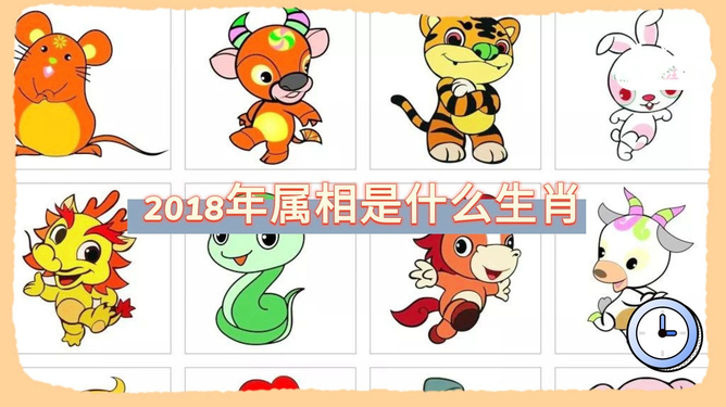 独家视点（灵丹妙药）是什么生肖