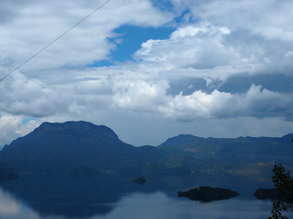 独家视点（君不用问知基数，只观浮云风雨目）打一准确动物