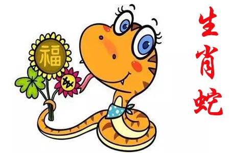 独家视点（灵丹妙药）是什么生肖