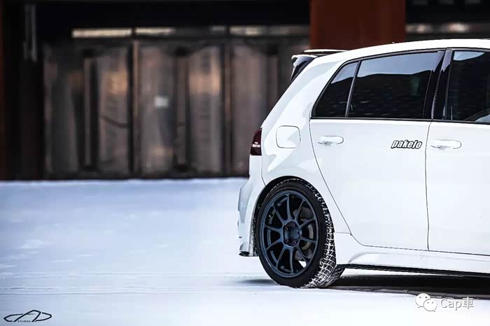 独家调查（扮猪吃虎）本期动物